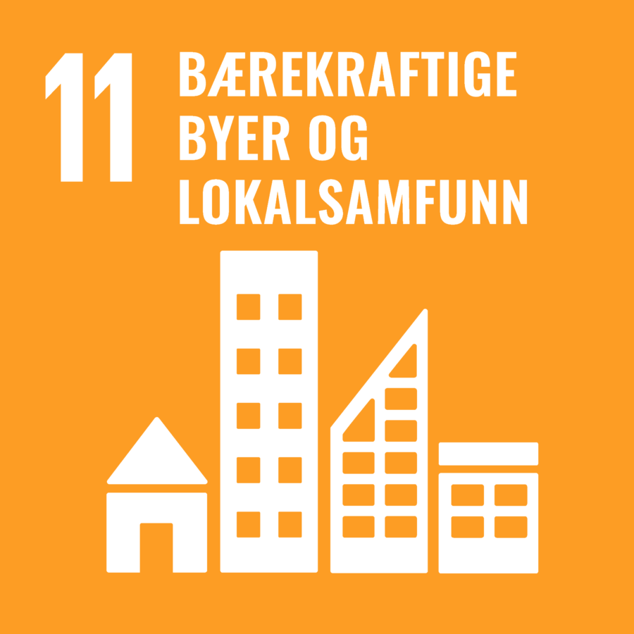 Vi fremhever bruk av elsykkel for p begrense forbrenningsmotorer som forurenser.
