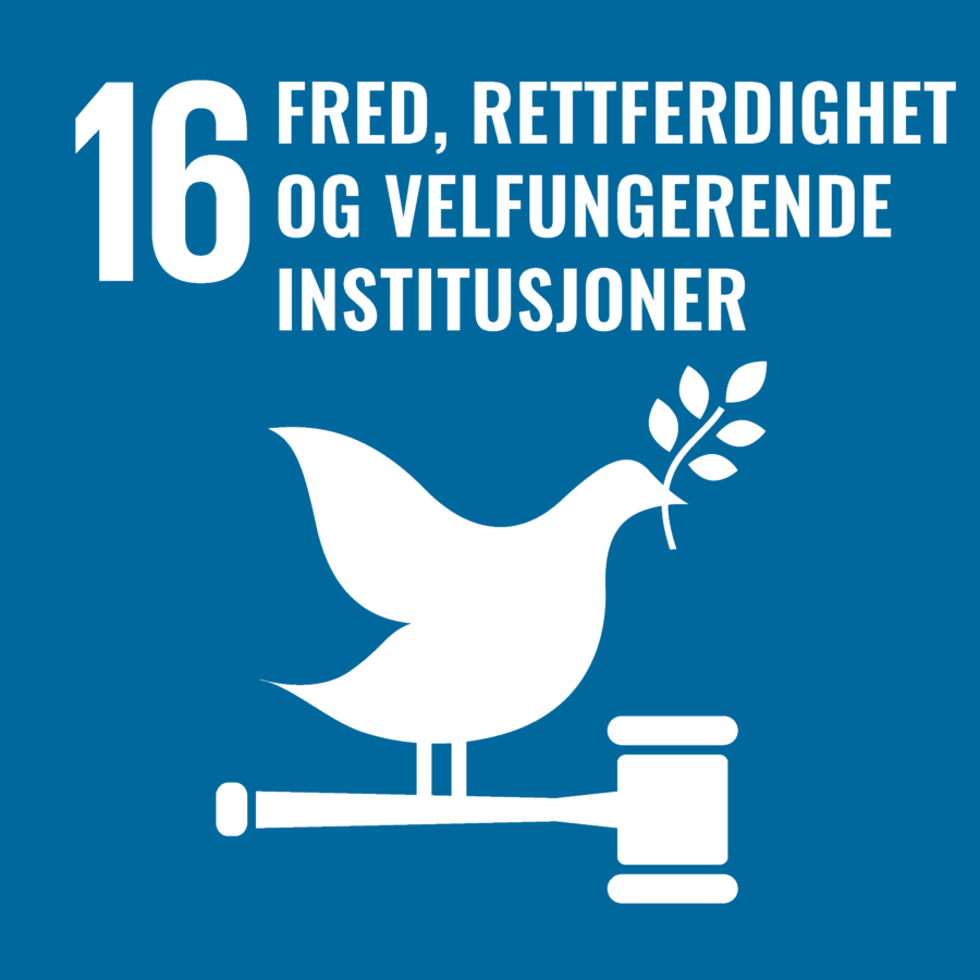 Vi kommer med unike sikkerhetsløsninger som kan gi fred, rettferd for alle.